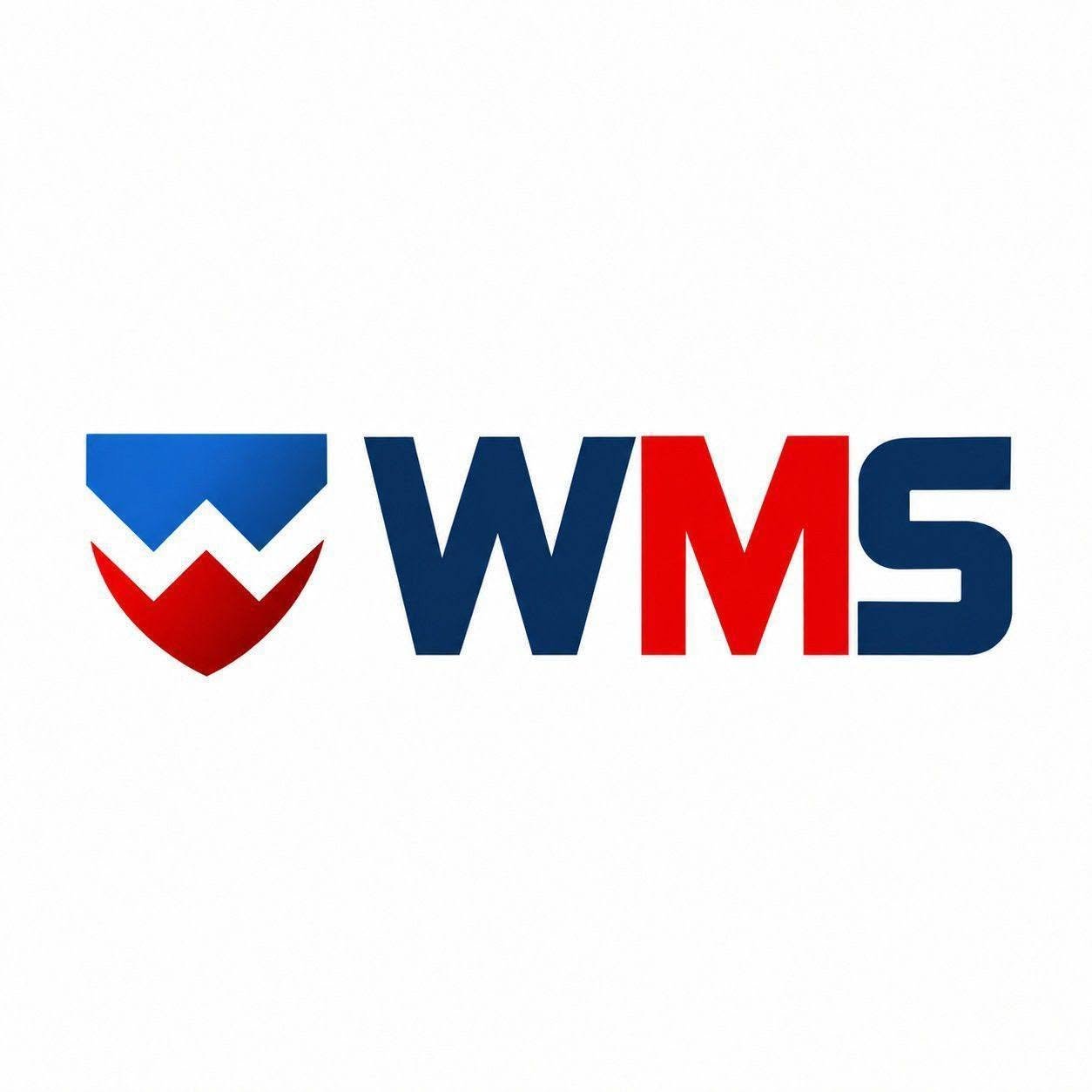 WMS Global Consultant logo